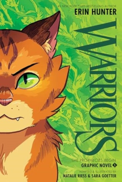 Warriors 1