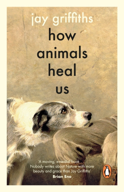 How Animals Heal Us